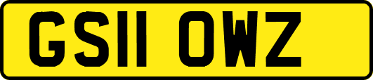 GS11OWZ
