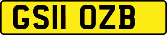 GS11OZB