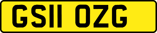 GS11OZG