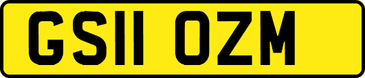 GS11OZM