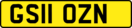 GS11OZN