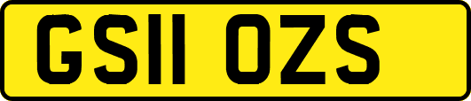 GS11OZS