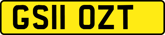 GS11OZT
