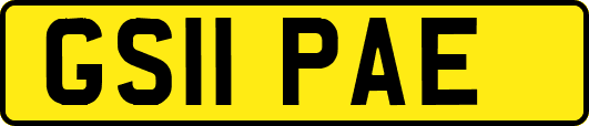 GS11PAE
