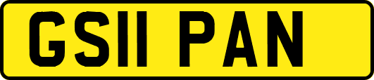 GS11PAN