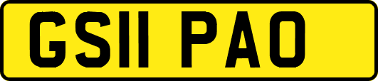 GS11PAO
