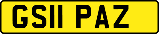 GS11PAZ