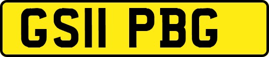 GS11PBG