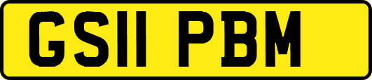 GS11PBM