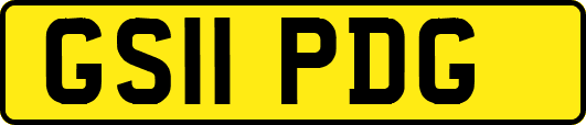 GS11PDG
