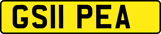 GS11PEA