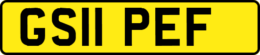 GS11PEF