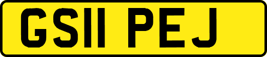 GS11PEJ