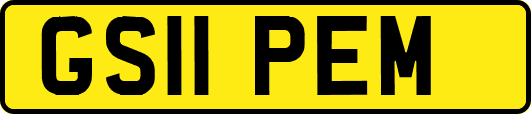 GS11PEM