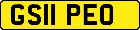 GS11PEO