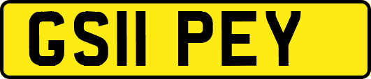 GS11PEY