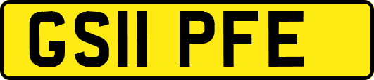 GS11PFE
