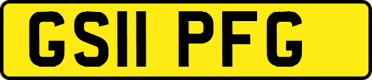 GS11PFG