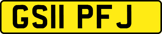GS11PFJ