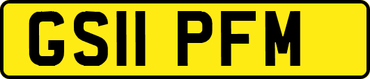 GS11PFM