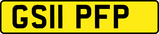 GS11PFP