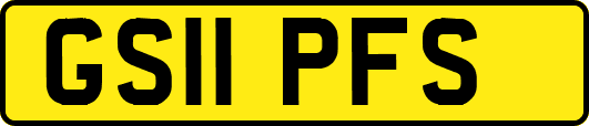 GS11PFS