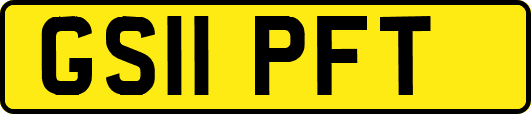 GS11PFT