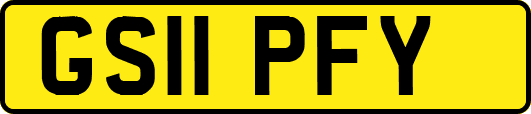 GS11PFY