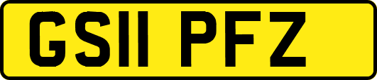 GS11PFZ