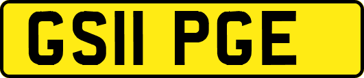 GS11PGE