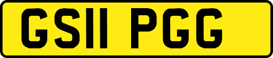 GS11PGG