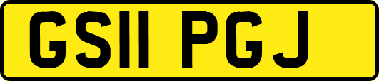 GS11PGJ