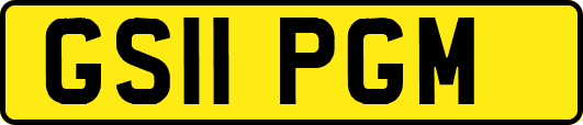 GS11PGM