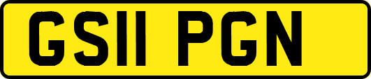 GS11PGN