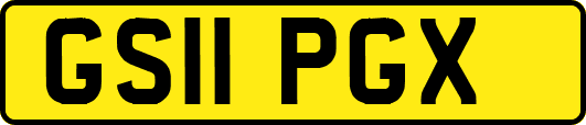 GS11PGX