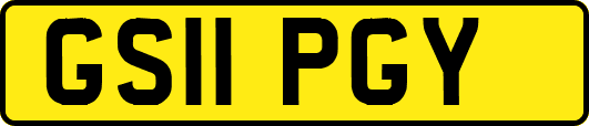 GS11PGY