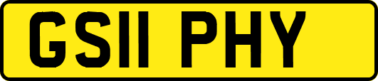 GS11PHY