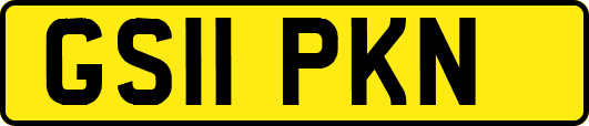 GS11PKN