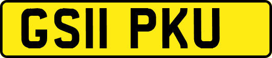 GS11PKU