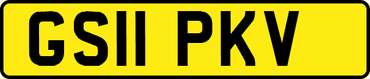 GS11PKV
