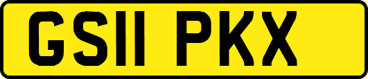 GS11PKX