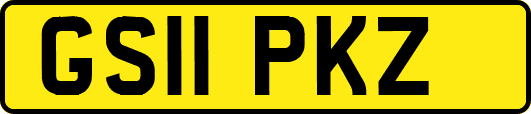 GS11PKZ