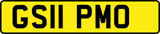 GS11PMO