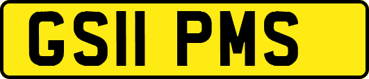 GS11PMS