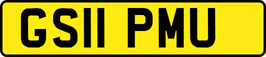 GS11PMU