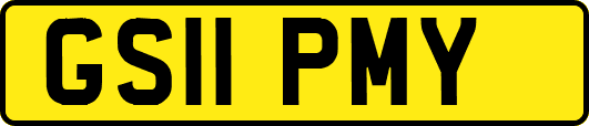 GS11PMY