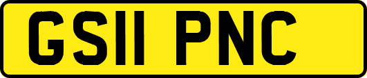 GS11PNC