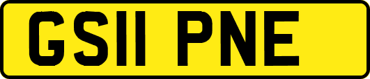GS11PNE