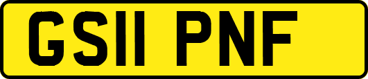 GS11PNF
