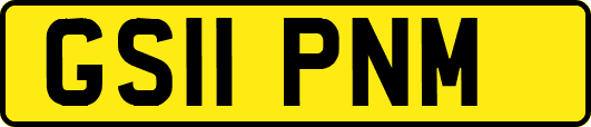 GS11PNM